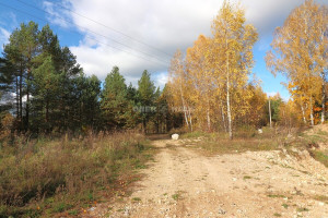 Parduodamas namas Šaukliškių k., Kupiškio r. sav., 100 m2 ploto, 1 aukštai 12