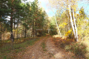 Parduodamas namas Šaukliškių k., Kupiškio r. sav., 100 m2 ploto, 1 aukštai 13
