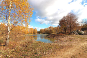 Parduodamas namas Šaukliškių k., Kupiškio r. sav., 100 m2 ploto, 1 aukštai 14