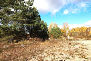 Parduodamas namas Šaukliškių k., Kupiškio r. sav., 100 m2 ploto, 1 aukštai 16