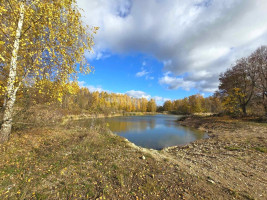 Parduodamas namas Šaukliškių k., Kupiškio r. sav., 100 m2 ploto, 1 aukštai 18