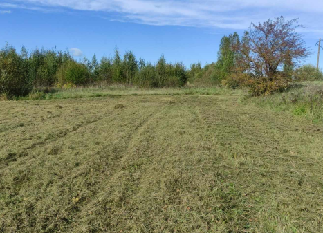 Parduodamas sklypas Vikonių k., Anykščių r. sav., 74.00 a ploto