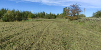 Parduodamas sklypas Vikonių k., Anykščių r. sav., 74.00 a ploto 1