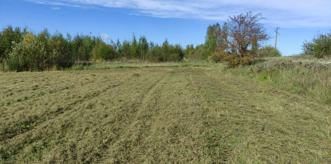 Parduodamas sklypas Vikonių k., Anykščių r. sav., 74.00 a ploto 1