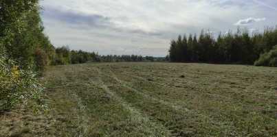 Parduodamas sklypas Vikonių k., Anykščių r. sav., 74.00 a ploto 2
