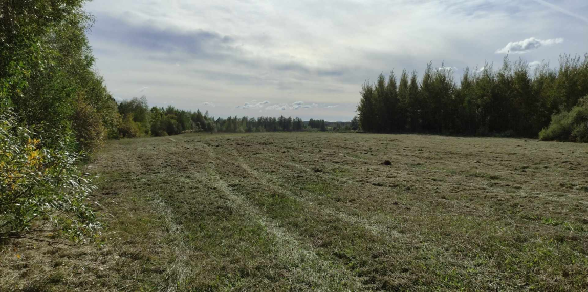 Parduodamas sklypas Vikonių k., Anykščių r. sav., 74.00 a ploto 2