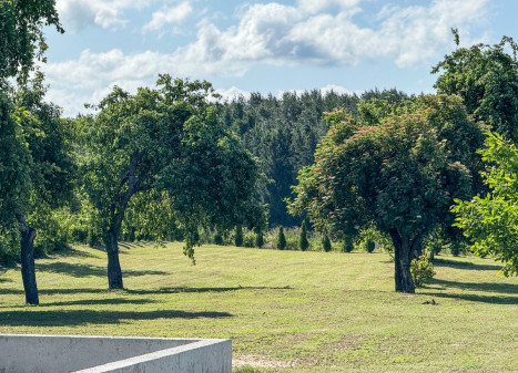 Parduodamas  sklypas Šaltinio g., Didžiųjų Lapių k., Kauno r. sav., 22 a ploto
