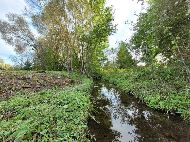 Parduodamas sklypas Šaltinėlio g., Mažosios Kuosinės k., 26.09 a ploto 10