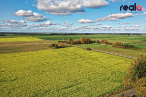 Parduodamas sklypas Žalioji g., Gudienos k., 77.6 a ploto 4