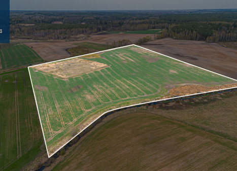 Parduodamas  sklypas Pakalnių k., Vilniaus r. sav., 774.39 a ploto
