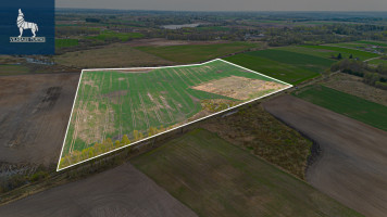 Parduodamas  sklypas Pakalnių k., Vilniaus r. sav., 774.39 a ploto 2