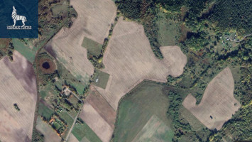 Parduodamas  sklypas Pakalnių k., Vilniaus r. sav., 774.39 a ploto 3