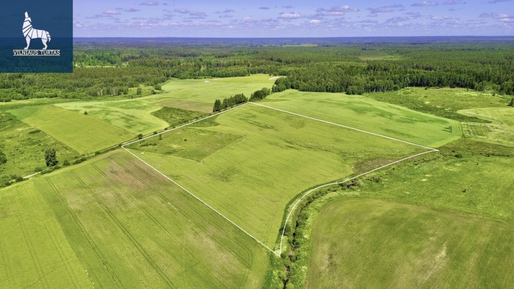 Parduodamas  sklypas Pakalnių k., Vilniaus r. sav., 774.39 a ploto 6