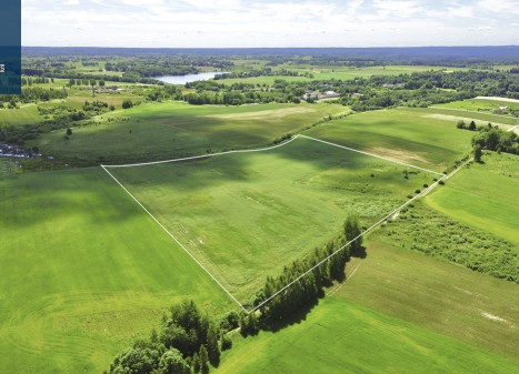 Parduodamas sklypas Pakalnių k., Vilniaus r. sav., 774.39 a ploto Parduodamas sklypas Pakalnių k., Vilniaus r. sav., 774.39 a ploto