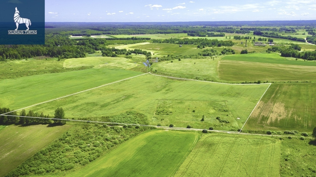 Parduodamas  sklypas Pakalnių k., Vilniaus r. sav., 774.39 a ploto 9