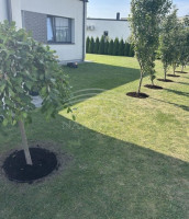 Parduodamas namas Trušelių k., Klaipėdos r. sav., 113 m2 ploto, 1 aukštai 4