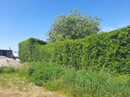 Parduodamas namas Tuopų g., Juragių k., Kauno r. sav., 61.52 m² ploto 3 kambariai 14