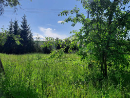 Parduodamas namas Tuopų g., Juragių k., Kauno r. sav., 61.52 m² ploto 3 kambariai 17