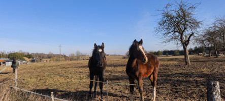 Parduodamas sklypas Sidabrinių Lankų g., Užublendžių k., Širvintų r. sav., 54.00 a ploto 5