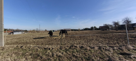 Parduodamas sklypas Sidabrinių Lankų g., Užublendžių k., Širvintų r. sav., 54.00 a ploto 4