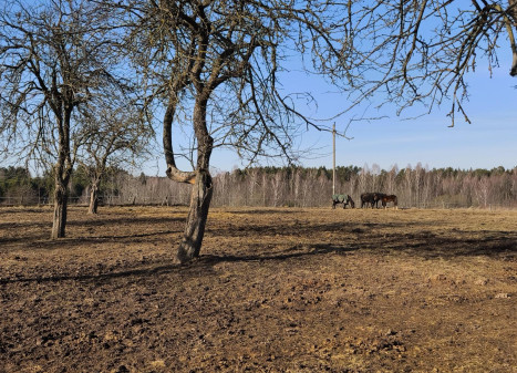 Parduodamas sklypas Sidabrinių Lankų g., Užublendžių k., Širvintų r. sav., 54.00 a ploto