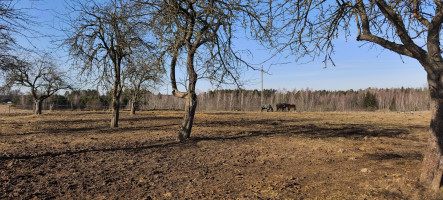 Parduodamas sklypas Sidabrinių Lankų g., Užublendžių k., Širvintų r. sav., 54.00 a ploto 1