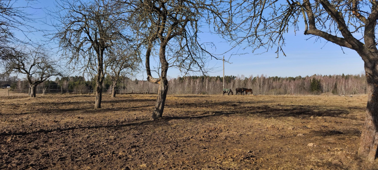 Parduodamas sklypas Sidabrinių Lankų g., Užublendžių k., Širvintų r. sav., 54.00 a ploto 1