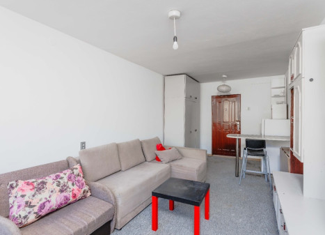 Parduodamas butas Rinktinės g., Šnipiškės, Vilniaus m., Vilniaus m. sav., 25 m2 ploto, 1 kambariai