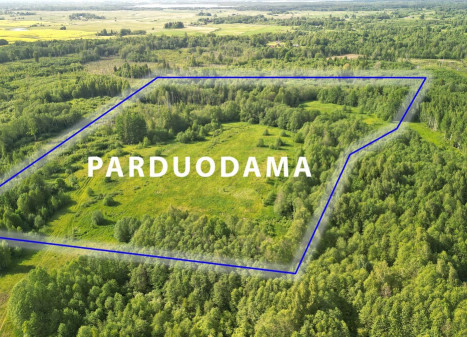 Parduodamas  sklypas Alkos vs., Molėtų r. sav., 757 a ploto