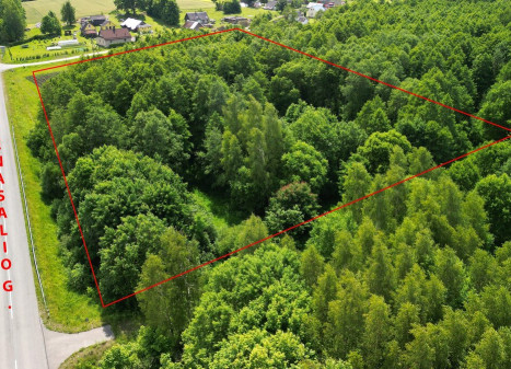 Parduodamas  sklypas Varkalabiškių k., Vilniaus r. sav., 78 a ploto
