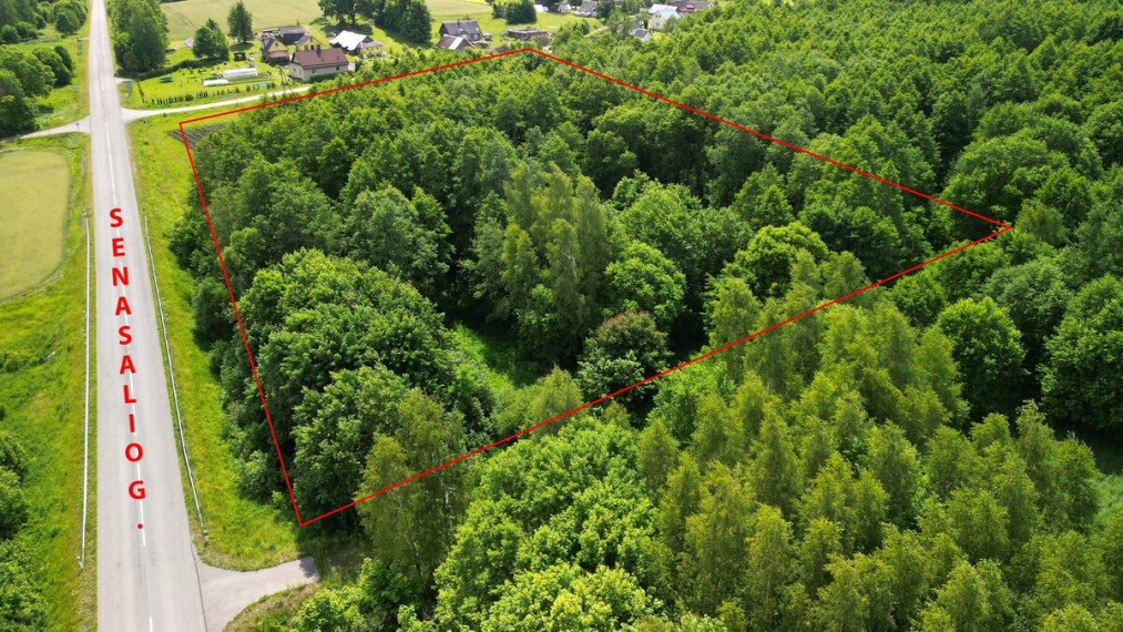 Parduodamas sklypas Varkalabiškių k., Vilniaus r. sav., 78 a ploto 1