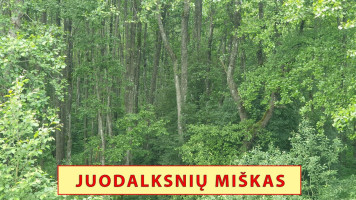 Parduodamas  sklypas Varkalabiškių k., Vilniaus r. sav., 78 a ploto 5