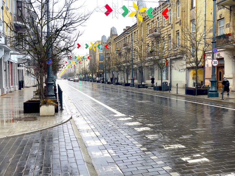 Nuomojamos paslaugų, prekybos patalpos Gedimino pr., Centras, Vilniaus m., Vilniaus m. sav., 14.7 m2 ploto 1