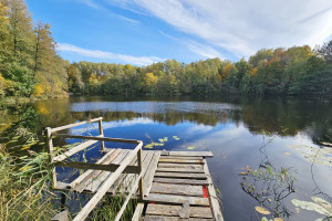Parduodamas žemės ūkio paskirties sklypas Pakalnių k., Utenos r. sav., 391.41 a ploto 1