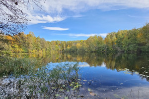 Parduodamas žemės ūkio paskirties sklypas Pakalnių k., Utenos r. sav., 391.41 a ploto 2