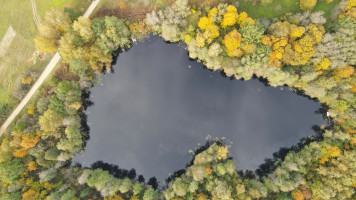Parduodamas žemės ūkio paskirties sklypas Pakalnių k., Utenos r. sav., 391.41 a ploto 3