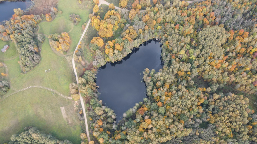 Parduodamas žemės ūkio paskirties sklypas Pakalnių k., Utenos r. sav., 391.41 a ploto 4