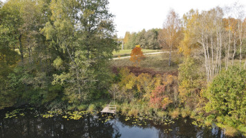 Parduodamas žemės ūkio paskirties sklypas Pakalnių k., Utenos r. sav., 391.41 a ploto 9