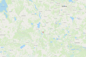 Parduodamas žemės ūkio paskirties sklypas Pakalnių k., Utenos r. sav., 391.41 a ploto 12