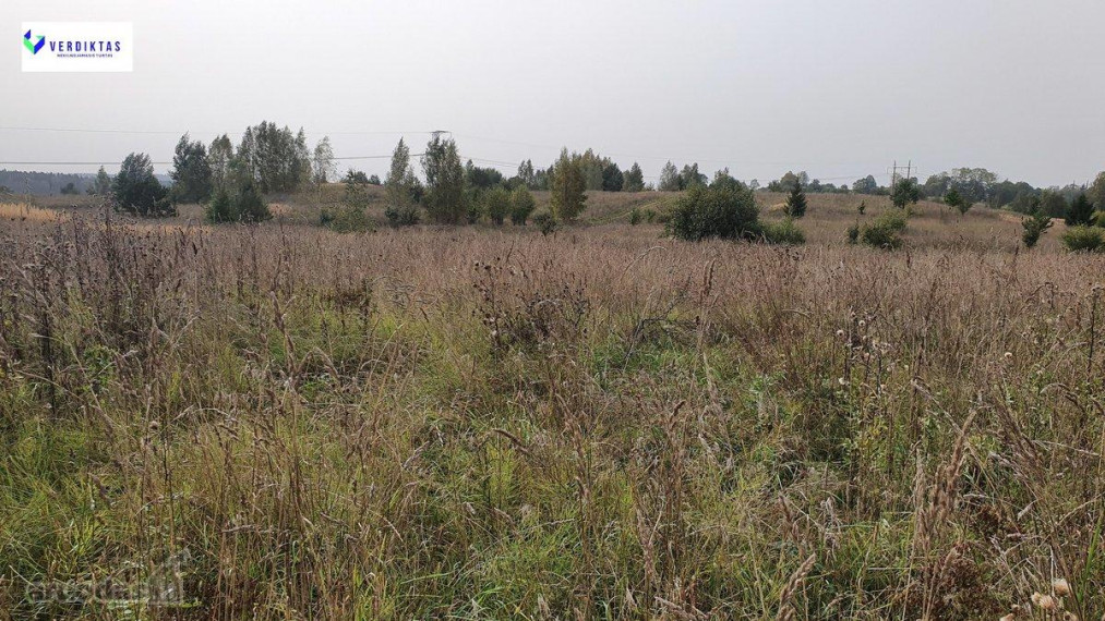 Parduodamas sklypas Vabalių k., Vilniaus r. sav., 300 a ploto 11
