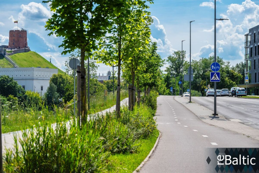 Nuomojamas butas Olimpiečių g., Centras, Vilniaus m., Vilniaus m. sav., 130 m2 ploto, 3 kambariai 39