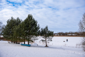 Parduodamas sklypas Kauniškio k., 205 a ploto 12