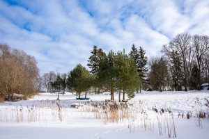 Parduodamas sklypas Kauniškio k., 205 a ploto 17