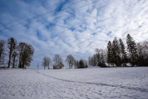 Parduodamas sklypas Kauniškio k., 205 a ploto 18