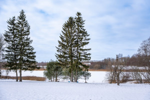 Parduodamas sklypas Kauniškio k., 205 a ploto 19