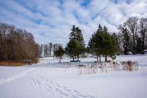 Parduodamas sklypas Kauniškio k., 205 a ploto 20