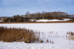 Parduodamas sklypas Kauniškio k., 205 a ploto 23