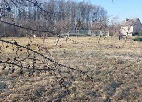Parduodamas  sklypas Vaitelių k., Klaipėdos r. sav., 12 a ploto