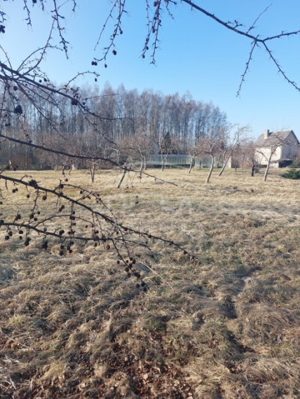 Parduodamas sklypas Vaitelių k., Klaipėdos r. sav., 12 a ploto 2