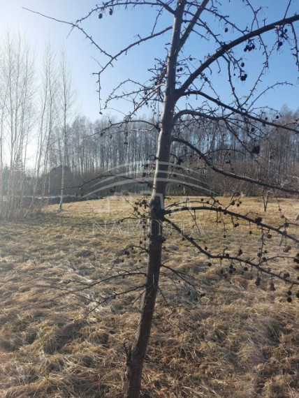 Parduodamas sklypas Vaitelių k., Klaipėdos r. sav., 12 a ploto 4